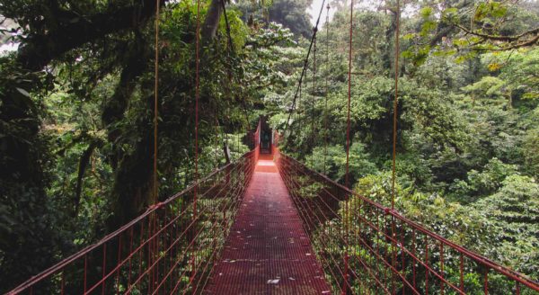 Bosque Nuboso de Monteverde en Costa Rica