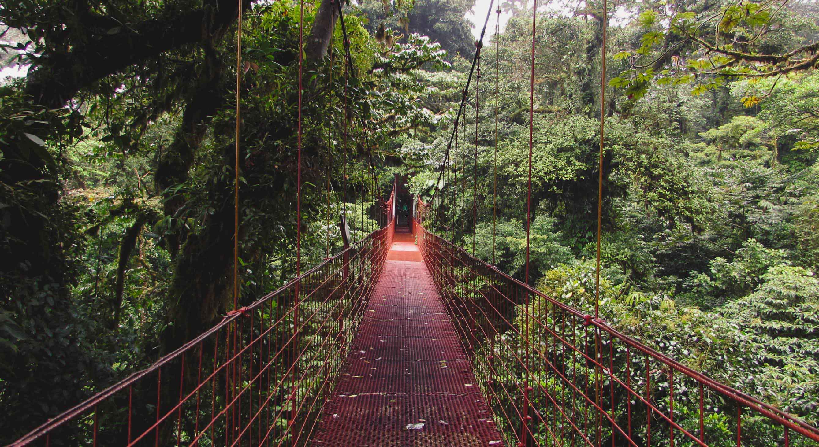 Puente colgante Reserva Bosque Nuboso