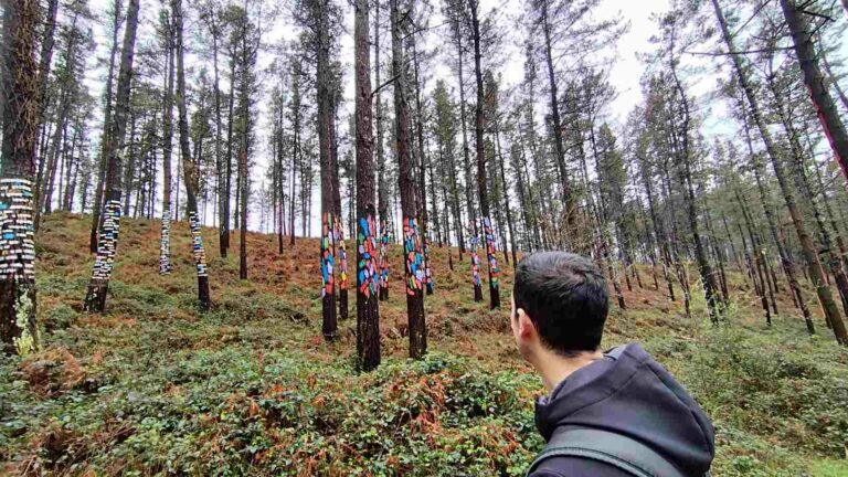 Chico mirando a unos árboles pintados en el Bosque de Oma